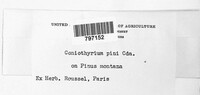 Image Associated With the Occurence